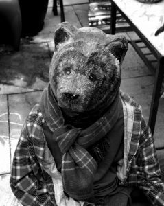 bear photography